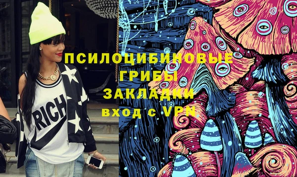 ПСИЛОЦИБИНОВЫЕ ГРИБЫ Навашино