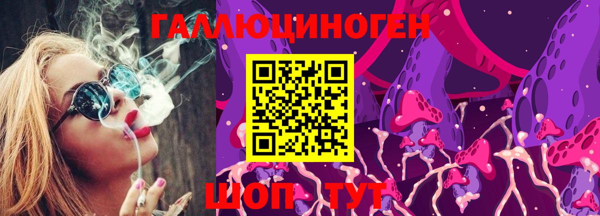 Псилоцибиновые грибы Psilocybe  Вход с VPN  Саратов 
